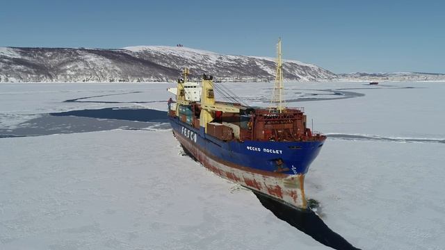 Магадан март 2018г бухта Нагаева судно ФЕСКО ПОСЬЬЕТ DJI 0051 смотреть онлайн