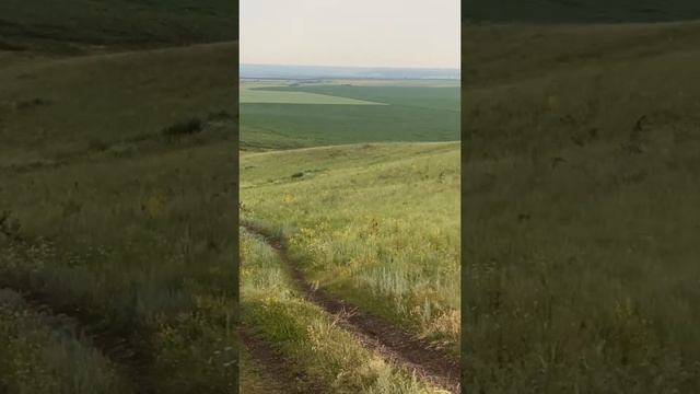 Хим Обработка полей от гусеницы лугового мотыля системой ГАРД инсектицидах обработка смотреть онлайн