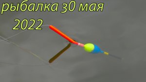 Рыбалка с Фиником 30 мая 2022 на новом месте