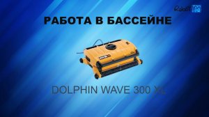 Работа в бассейне Dolphin Wave 300 xl