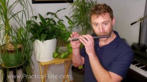 Flute Demonstration - Instrument Petting Zoo