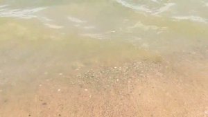 Пляж на реке Пекша в Кольчугино 2022 / Кольчугинское водохранилище