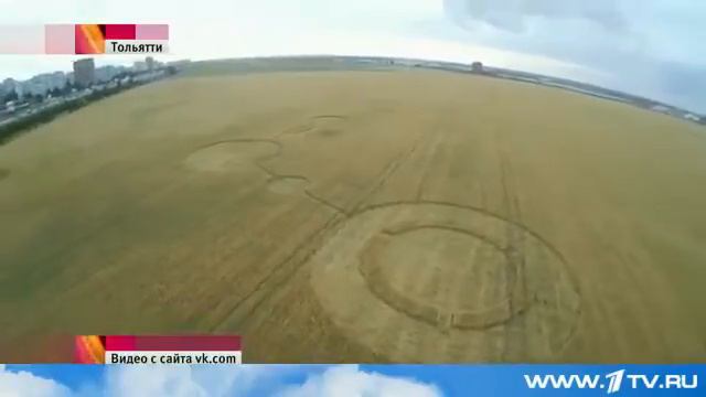 Пришельцы или проделки хулиганов? На полях в Тольятти появились загадочные знаки смотреть онлайн