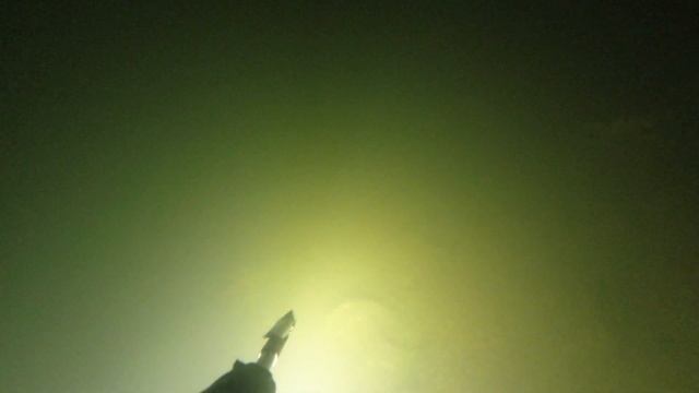 Ловлю рыб руками и в сумку:))) подводная охота 2022 ночная подводная охота 2022 реки ростовской обл смотреть онлайн