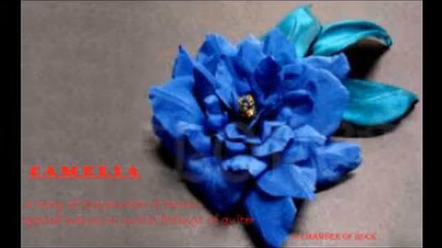 Camelia смотреть онлайн