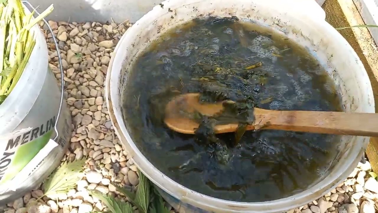 Удвойте свой Урожай огурцов, томатов и других овощей!!! [IT0e8v82_rQ] смотреть онлайн