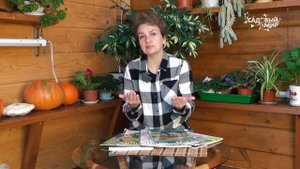 Как сделать клумбу, миксбордер и составлять цветочные композиции