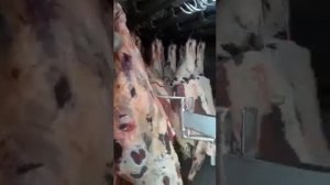 Манипулятор для погрузки туш.