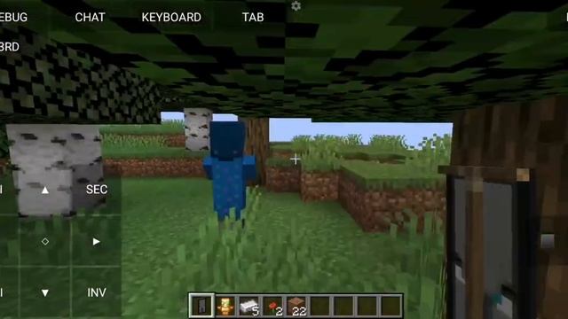 Иллюзор в майнкрафте вот как выглядит! смотреть онлайн