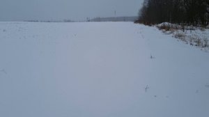 20231128_121114.mp4