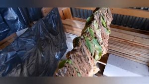 Плесень и гниение табачного листа. Ошибки при первой ломке листа и его сушке.