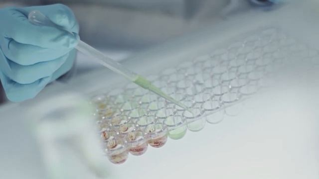 Учёные впервые вырастили растения в лунном грунте смотреть онлайн