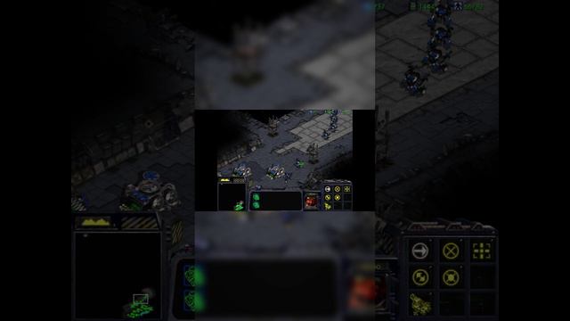 STARCRAFT 1 / ГЛАДИАТОР! / #shorts