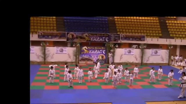 Martial Kroton Ryu BABY DRAGON 2013 смотреть онлайн