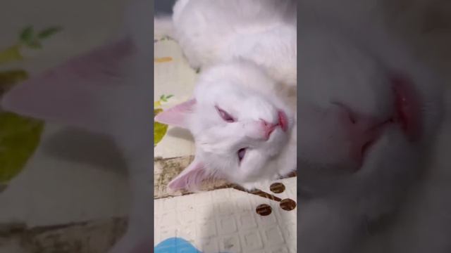 К психологу поздно)