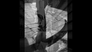 Великие фотографы. Эдуард Буба (©Edouard Boubat)