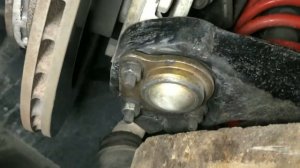 Кастор классика