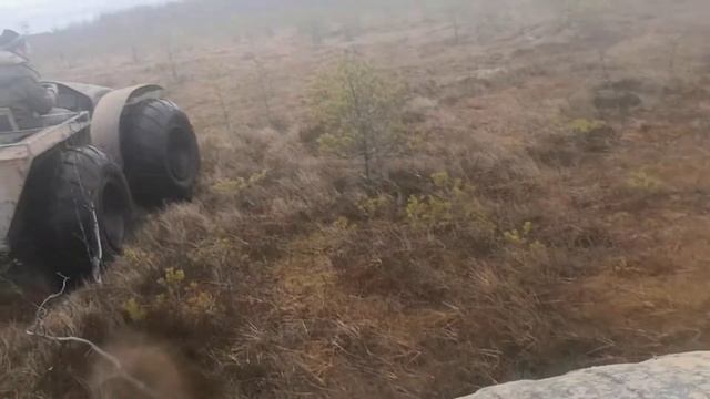 Каракат в болоте смотреть онлайн