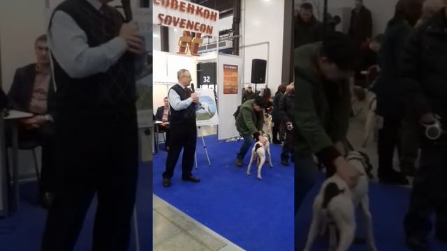 32-я ежегодная выставка "Охота и рыболовство-2018" Весна, 22-25 марта 2018 г. СПб, смотреть онлайн