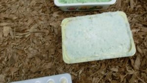 Внекорневая подкормка голубики