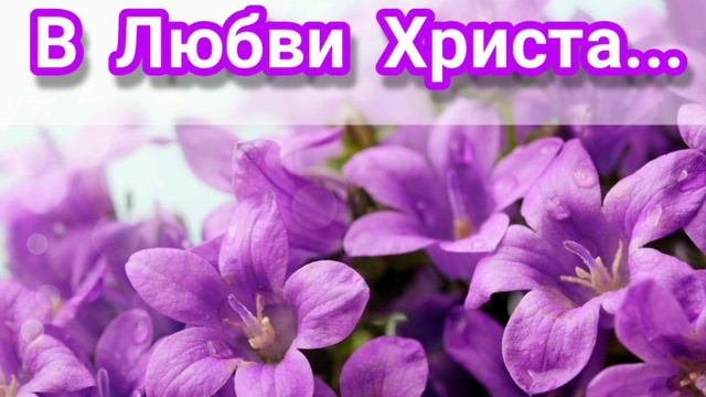 В Любви Христа - христианская песня.