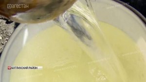 Белое золото в горах Дагестана