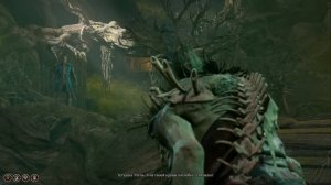 5 ХУДШИХ РЕШЕНИЙ которые никогда не стоит выбирать в Baldurs Gate 3