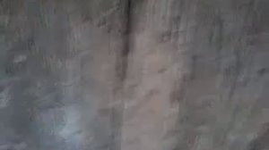 Пруд для уток своими руками за 1 час.  Дешево и просто ,часть 1