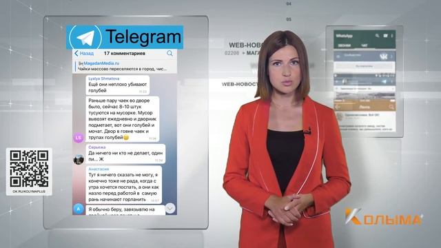 Web-новости: Где живут чайки в Магадане и почему отдых на Охотском море — лучший смотреть онлайн