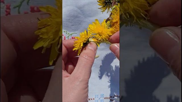 #shots Венок из одуванчиков своимируками diy смотреть онлайн