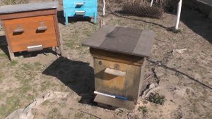 Как удалить из рамок закристаллизовавшийся прошлогодний мед или сироп
