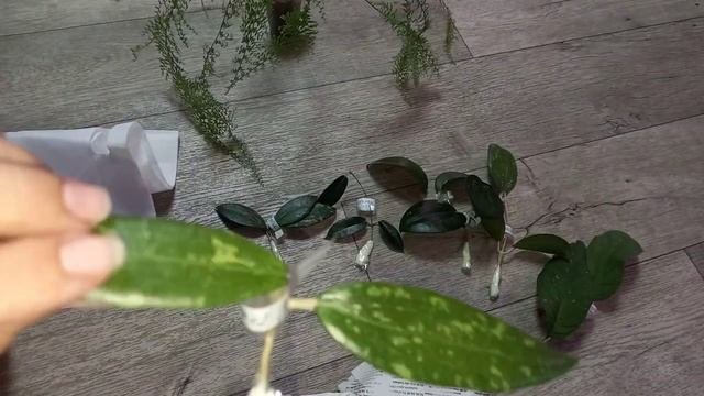 Новинки по обмену??