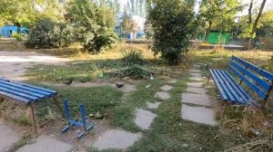 МАРИУПОЛЬЦЫ ПРО МУСОР В МАРИУПОЛЬСКИХ ДВОРАХ.