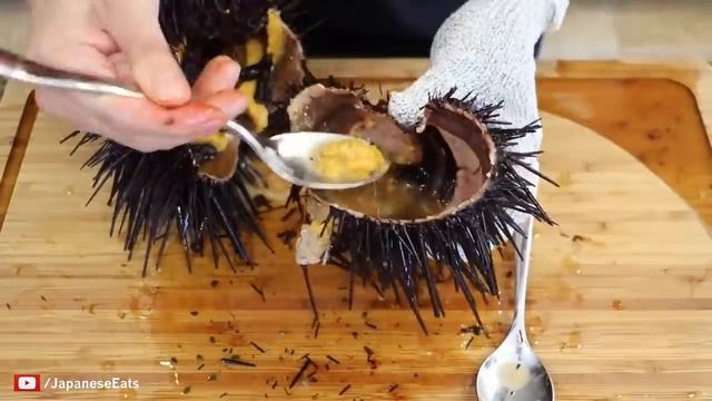 Как открыть морского ежа смотреть онлайн