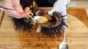 Как открыть морского ежа
