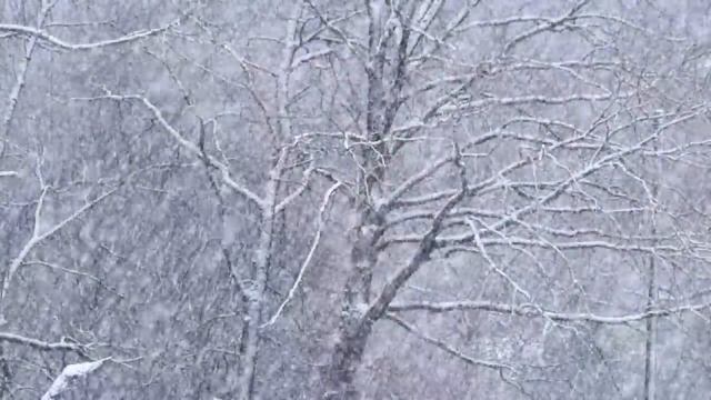 15 Февраля Самая волшебная ночь. Положите Это в карман|Лунный календарь