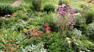 Клумбы, катальпа, мальва, лилии