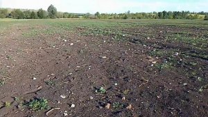 В этом ролике про настройки Quest-X5 дружище.