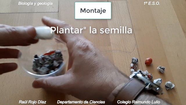 Vídeo experimento geotropismo смотреть онлайн