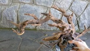 Бонсай для дизайна аквариума. Ручная работа.