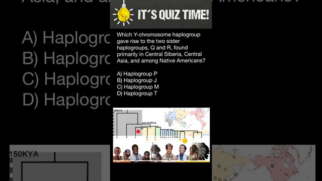 Y chromosome Haplogroups Phylogenetic Tree