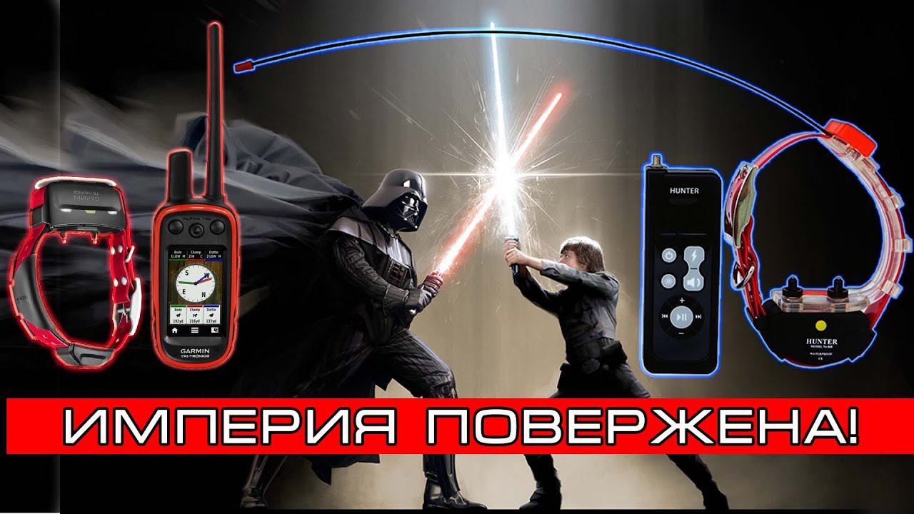 HUNTER GPS убийца ALPHA 100 + разговор с покупателем. Ошейник отслеживания собак на охоте смотреть онлайн