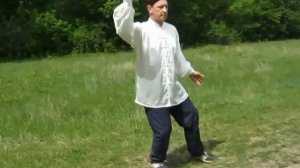 Тайцзицюань стиль Ян в Крыму. Tai Chi Yang Style In The Crimea