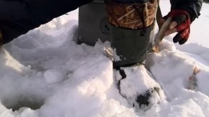 Зимняя рыбалка, Павловское водохранилище, 04 02 15 г