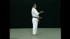 Серин Рю Мёбукан