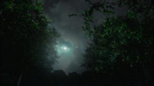 Звуки ночного леса.Это ужасно и прекрасно!