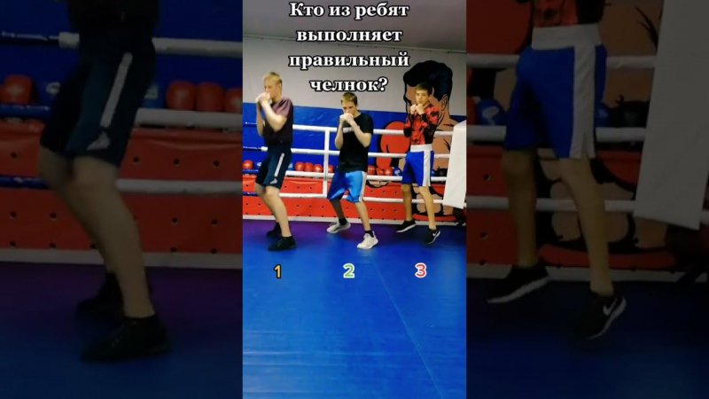 #бокс #shorts