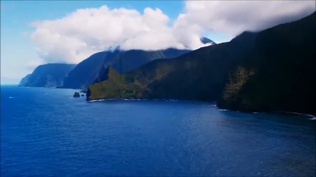 Видео про АСУС смотреть онлайн