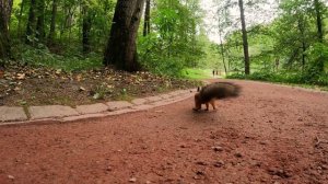 Осенний день в Царицыно