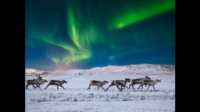 Как появляется северное сияние? смотреть онлайн